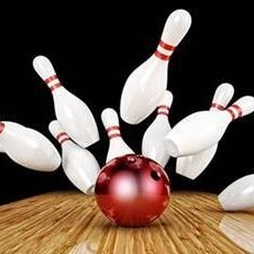 Sugar Land Pin Heads